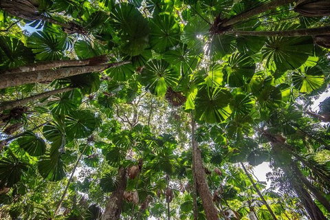 5 Day Australia Retreat: Queensland Daintree - Accommodation Port Macquarie 4