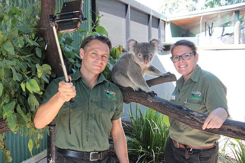 Virtual Interactive Australian Wildlife Tour With Private Guide-Wildlife Habitat - Accommodation Port Macquarie 4