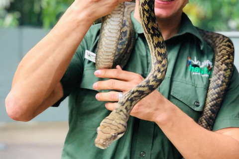 Virtual Interactive Australian Wildlife Tour With Private Guide-Wildlife Habitat - Accommodation Port Macquarie 3