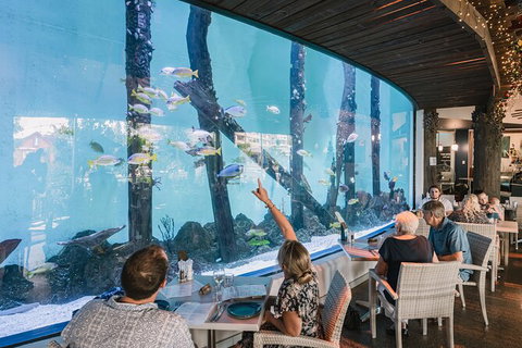 Cairns Aquarium By Twilight With 3 Course Dinner - Accommodation Port Macquarie 1