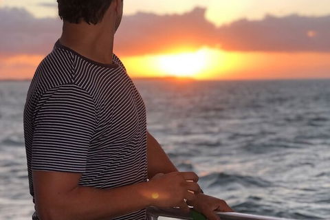 Sunset Twilight Cruise In Hervey Bay - Accommodation Port Macquarie 3