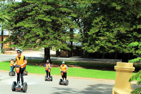 Segway Tour At Seppeltsfield Winery - Accommodation Port Macquarie 6