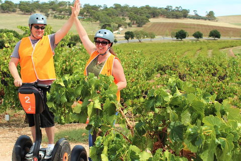 Segway Tour At Seppeltsfield Winery - Accommodation Port Macquarie 5