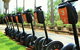 Segway Tour At Seppeltsfield Winery - thumb 3