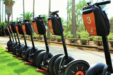 Segway Tour At Seppeltsfield Winery - Accommodation Port Macquarie 3