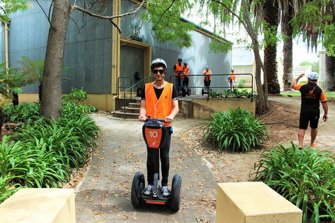 Segway Tour At Seppeltsfield Winery - Accommodation Port Macquarie 1