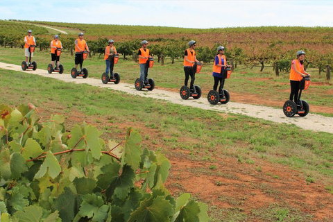 Segway Tour At Seppeltsfield Winery - Accommodation Port Macquarie 7