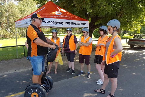 Segway Tour At Seppeltsfield Winery - Accommodation Port Macquarie 9