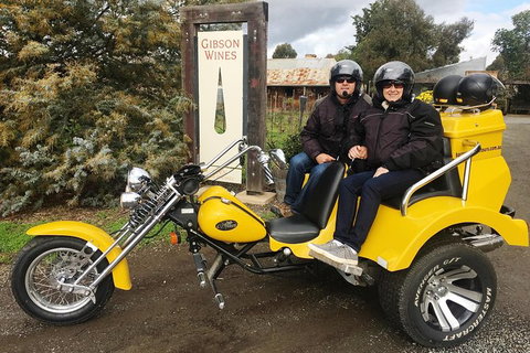 Unique Trike Barossa Valley Half Day Private Tour For 2 - Accommodation Port Macquarie 4