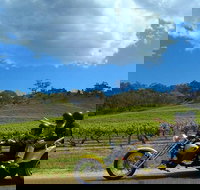 Unique Trike Barossa Valley Half Day Private Tour For 2 - Accommodation Port Macquarie