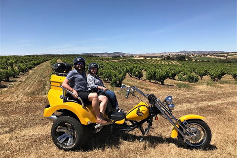 Unique Trike Barossa Valley Half Day Private Tour For 2 - Accommodation Port Macquarie 3