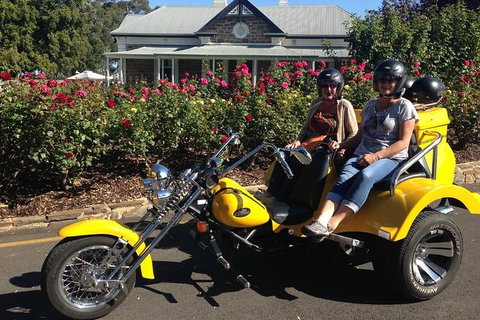 Unique Trike Barossa Valley Half Day Private Tour For 2 - Accommodation Port Macquarie 5