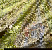 Beyond The Velvet Rope - Behind the Scenes Tour - Accommodation Port Macquarie