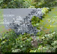 Yalumba Nursery  Grenache Discovery Tour  Platter Lunch - Accommodation Port Macquarie