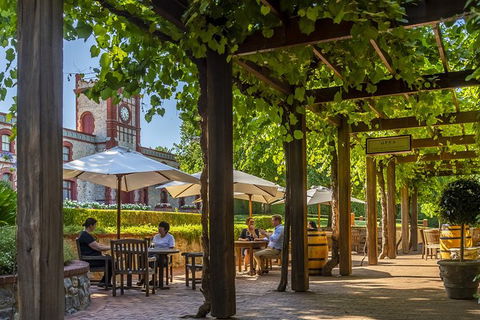 Yalumba Nursery & Grenache Discovery Tour + Platter Lunch - Accommodation Port Macquarie 4