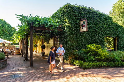 Yalumba Nursery & Grenache Discovery Tour + Platter Lunch - Accommodation Port Macquarie 3