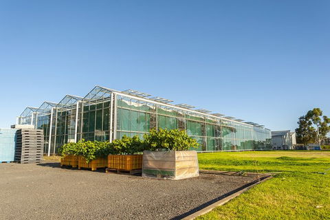 Yalumba Nursery & Grenache Discovery Tour + Platter Lunch - Accommodation Port Macquarie 5