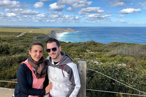 NEW TOUR - Flinders Chase Tour (Recovering From Fires) - Accommodation Port Macquarie 3