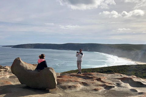 NEW TOUR - Flinders Chase Tour (Recovering From Fires) - Accommodation Port Macquarie 5