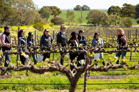 Walk, Taste, Graze - Experience At Pindarie - Accommodation Port Macquarie 2
