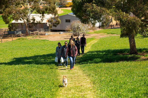 Walk, Taste, Graze - Experience At Pindarie - Accommodation Port Macquarie 7