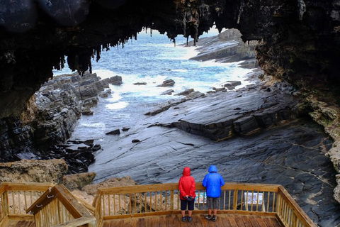 Full-Day Kangaroo Island Safari From Penneshaw - Accommodation Port Macquarie 1