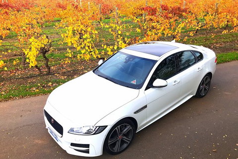 Luxury Jaguar Barossa Valley Half Day Private Tour For 2 - Accommodation Port Macquarie 2