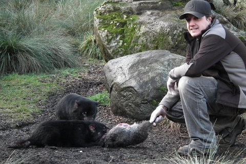 After Dark Tasmanian Devil Feeding Tour At Cradle Mountain - Accommodation Port Macquarie 0
