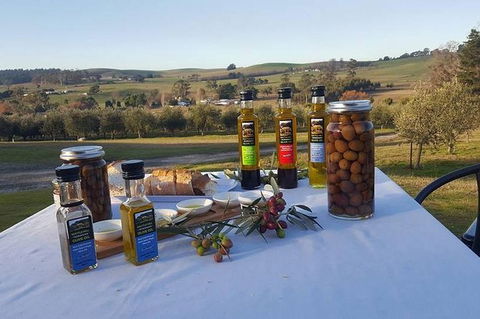 Cruise Ship Excursion: Gourmet Food & Wine - Accommodation Port Macquarie 17