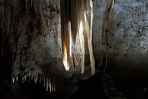Shore Excursion: Coast, Caves And Wildlife Park - 8 Hour Tour - Accommodation Port Macquarie 10
