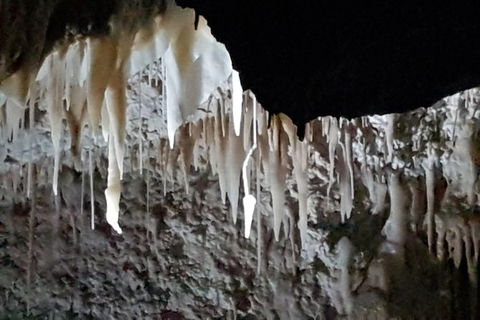 Shore Excursion: Coast, Caves And Wildlife Park - 8 Hour Tour - Accommodation Port Macquarie 21
