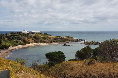 Shore Excursion: Coast, Caves And Wildlife Park - 8 Hour Tour - Accommodation Port Macquarie 0