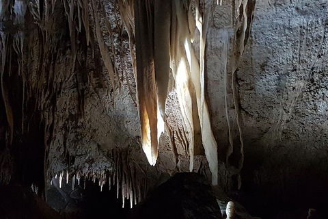 Shore Excursion: Coast, Caves And Wildlife Park - 8 Hour Tour - Accommodation Port Macquarie 7