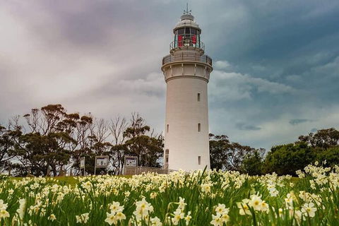 Table Cape Lighthouse Tours - Accommodation Port Macquarie 7