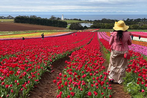 Table Cape Lighthouse Tours - Accommodation Port Macquarie 0