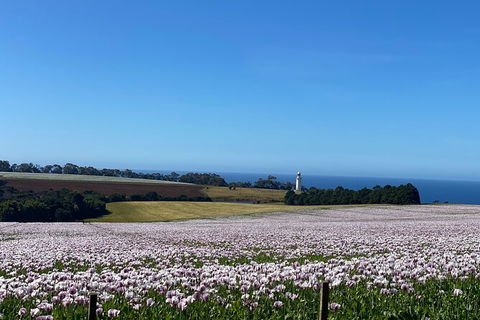 Table Cape Lighthouse Tours - Accommodation Port Macquarie 8