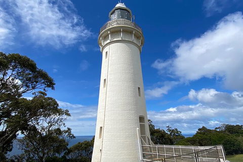 Table Cape Lighthouse Tours - Accommodation Port Macquarie 4