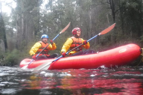 Twin Rivers Winter Adventure - Accommodation Port Macquarie 3