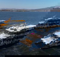 Moorilla Estate's Posh-As Day at Mona - Accommodation Port Macquarie