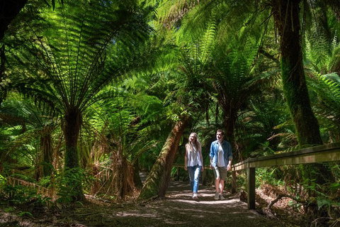 The Great Ocean Road 1 Day Private Sunset Tour - Accommodation Port Macquarie 1