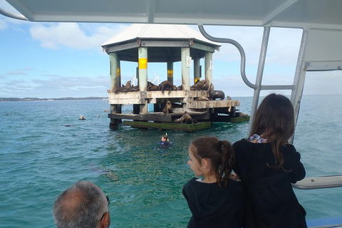Sailing Cruise With Seals - Accommodation Port Macquarie 0