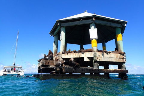 Sailing Cruise With Seals - Accommodation Port Macquarie 1