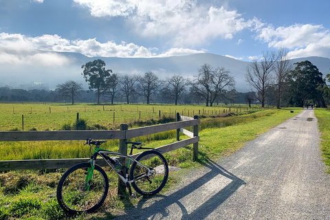 Aqueduct And Rail Trail Self-Guided Bike Tour In Warburton - Accommodation Port Macquarie 5
