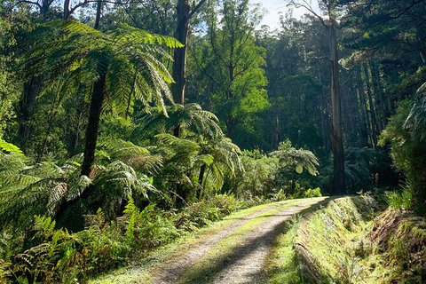 Aqueduct And Rail Trail Self-Guided Bike Tour In Warburton - Accommodation Port Macquarie 3