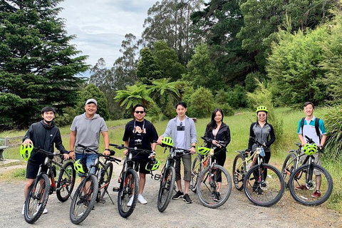 Aqueduct And Rail Trail Self-Guided Bike Tour In Warburton - Accommodation Port Macquarie 0