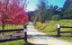 Aqueduct And Rail Trail Self-Guided Bike Tour In Warburton - thumb 4
