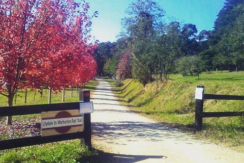 Aqueduct And Rail Trail Self-Guided Bike Tour In Warburton - Accommodation Port Macquarie 4