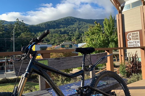 Aqueduct And Rail Trail Self-Guided Bike Tour In Warburton - Accommodation Port Macquarie 2