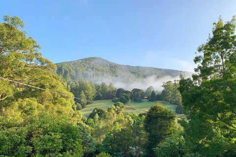 Hiking Tour To Aqueduct And Warburton Valley Lookout - Accommodation Port Macquarie 0