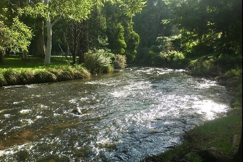 Watertube Experience In Yarra River - Accommodation Port Macquarie 3